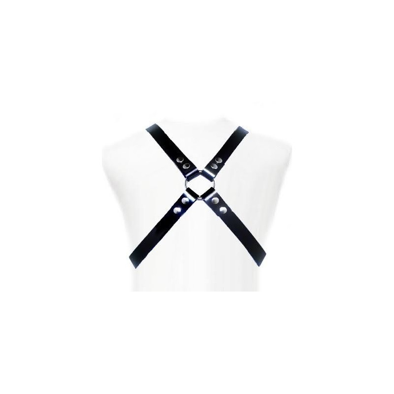 LEATHER BODY BASIC HARNESS