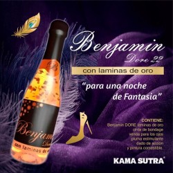 DIABLO PICANTE - BENJAMÍN DORE PARA UNA NOCHE DE FANTASÍA 2