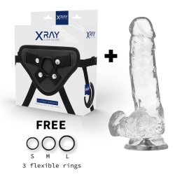 X RAY - ARNÉS + DILDO REALISTA TRANSPARENTE 18.5 CM -O-... 2