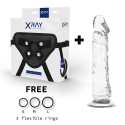 X RAY - ARNES + DILDO TRANSPARENTE 21 CM -O- 4 CM 2