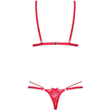 OBSESSIVE - LOVLEA TEDDY