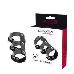DARKNESS - ADJUSTABLE LEATHER DOUBLE PENIS AND TESTICLE RING 2