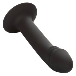 CALEXOTICS - CURVED ANAL STUD 2