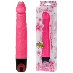 BAILE - VIBRATOR MULTISPEED 21.5 CM PINK 2