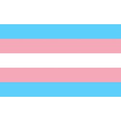 PRIDE - BANDERA 90 X 150 TRANSEXUAL