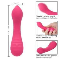 CALIFORNIA EXOTICS PIXIES TEASER ROSA 2