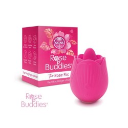SKINS - ROSE BUDDIES ROSE FLIX 2
