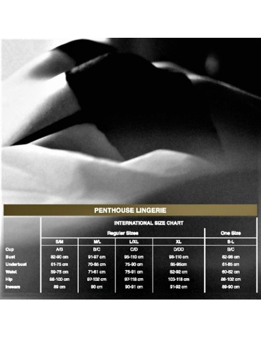 PENTHOUSE CAUTIOUS CAT VESTIDO S/M/L