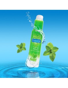 PASANTE - LUBRICANTE SABOR MENTA 75 ML 2
