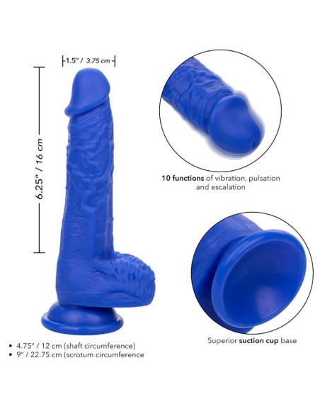 CALEXOTICS - ADMIRAL SAILOR REALISTIC DILDO VIBRATOR BLUE