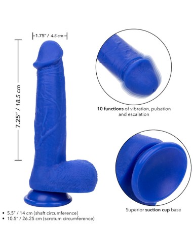 CALEXOTICS - ADMIRAL CAPTAIN REALISTIC DILDO...