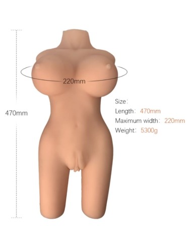 ARMONY - TORSO FEMENINO REALISTICO MODELO 6